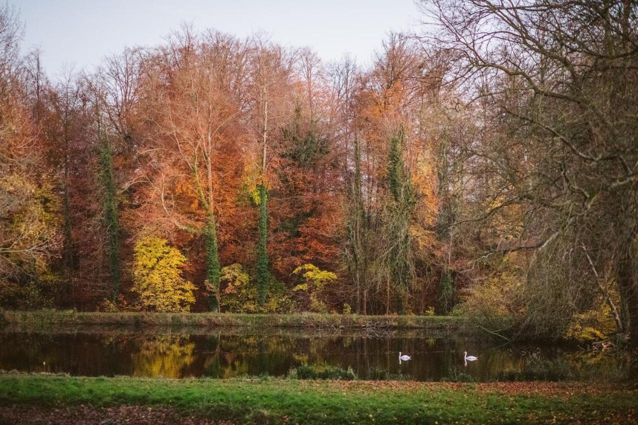 B&B Park7 Wavre - Leuven Huldenberg Екстериор снимка